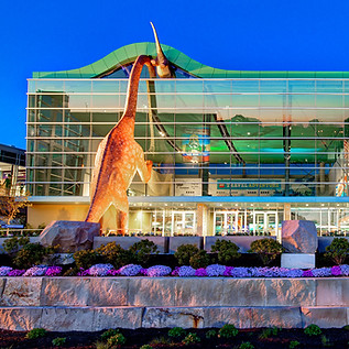 Plaza-dinos-at-night-slider.jpg