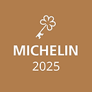 michelin iwhi.png
